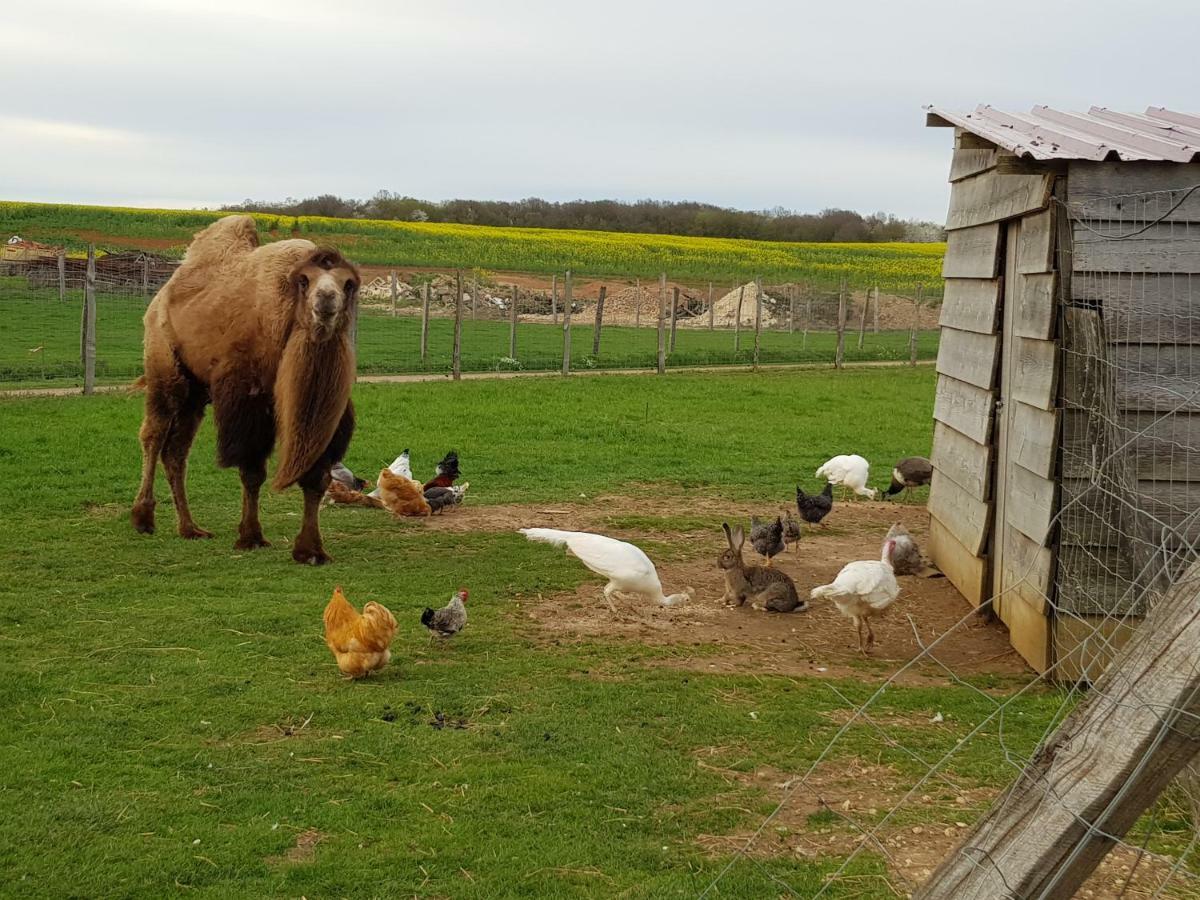 La Ferme Aux Kangourous Donzy Экстерьер фото